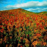 Julie Zwinger Photo 9