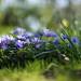 Shelley Parks Photo 21