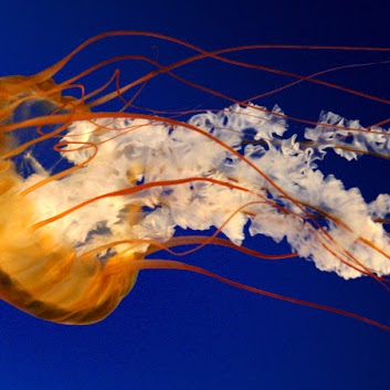 Ethel Robinson Photo 31