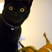 Carol Browne Photo 16