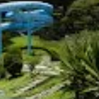 Edgar Arce Photo 8