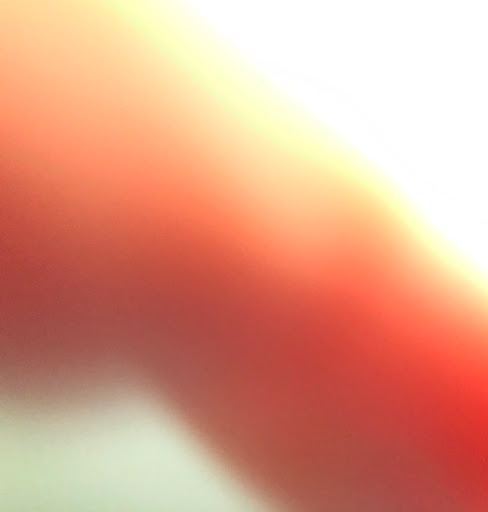 Vicki Rodriguez Photo 18