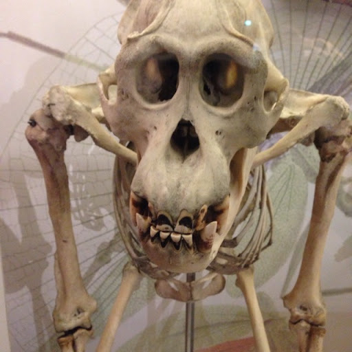 Frank Little Photo 10