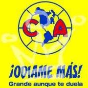 Alejandro Gomez Photo 49