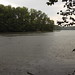 Virginia Burk Photo 13