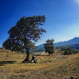 Juan Mendoza Photo 31