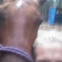 Julie Latham Photo 12