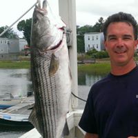Mark Shea Photo 18