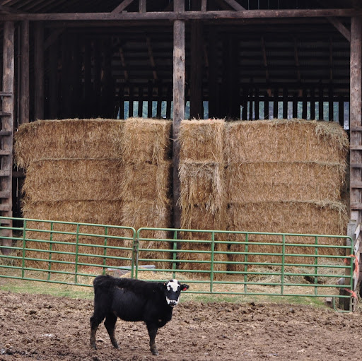 Erik Matthews Photo 23 Erik Matthews Photo 23