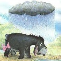 Tracey Reed Photo 22