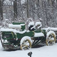 Mary Mark Photo 18 Mary Mark Photo 18