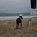 Dennis Peckham Photo 8