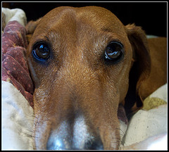 Whitney Haught Photo 3