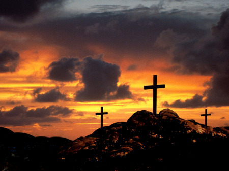 Stephanie Cole Photo 16 Stephanie Cole Photo 16