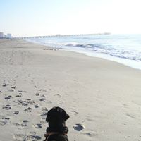 Barbara Forbes Photo 21