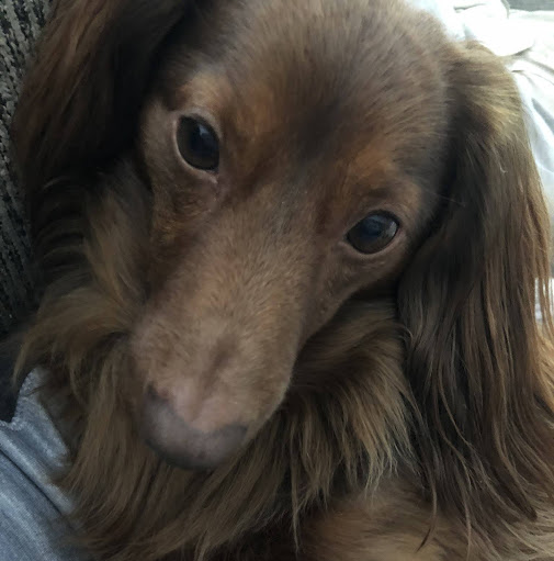 Jamie Gregory Photo 11