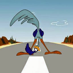 Andrea Cross Photo 29