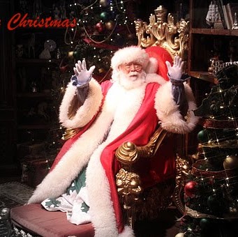 Danielle Casey Photo 20