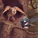 Arthur Dodd Photo 12