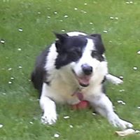 Tracey Frederick Photo 3