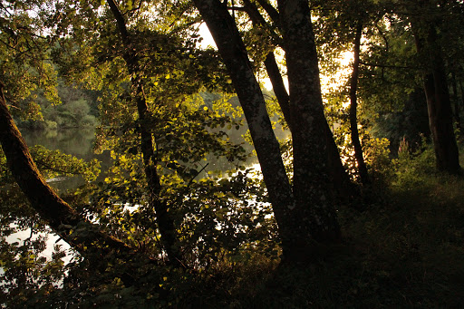 Marie Duvivier Photo 4