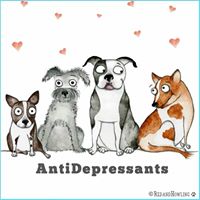 Teresa Snider Photo 12