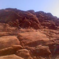 Janet Pedersen Photo 18