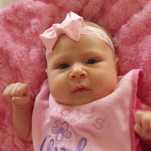 Sandra Lamb Photo 37