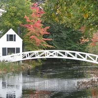 Cheryl Mckenney Photo 15