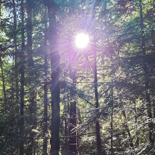 Kristen Sutton Photo 17