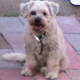 Steven Douglas Photo 15