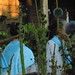 Diana Snyder Photo 36