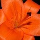 Annette Guenther Photo 7