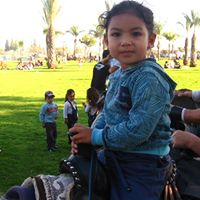 Lawrence Wolf Photo 11