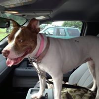 Charlie Robson Photo 11