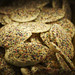Mike Sprinkle Photo 33