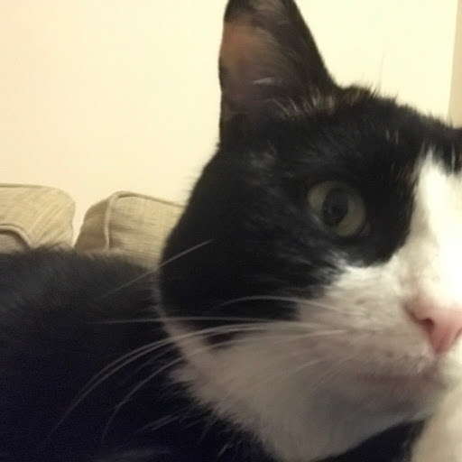 Jeff Lightfoot Photo 20