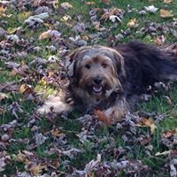 Mona Roberts Photo 4