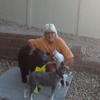 Michelle Agnew Photo 13