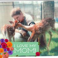 Lori Norman Photo 33