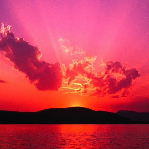 Carol Russo Photo 40