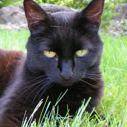 Tammy Sanders Photo 16