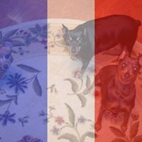 Ann Brinkley Photo 8