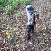 Stacey Everett Photo 30