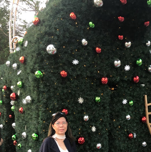 Theresa Tang Photo 23