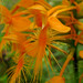 Nancy Winn Photo 6