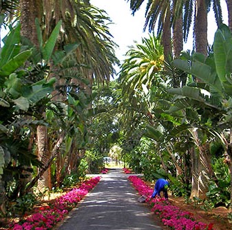 Abdullah Mohammed Photo 37 Abdullah Mohammed Photo 37