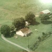 Shelly Freeman Photo 25