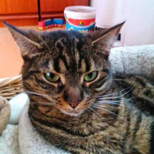 Martin Metzger Photo 26