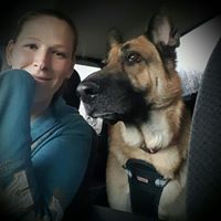 Casey Hamilton Photo 27